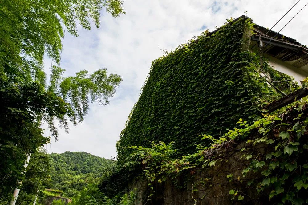 爬山推荐哪座山北仑,爬完桐庐所有的山