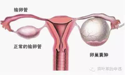 妇科保守治疗一般都是什么病,妇科调理骗局截图