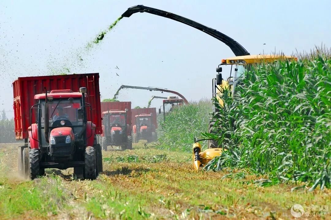 鹤壁是全国文明城市么,鹤壁是哪个省的城市