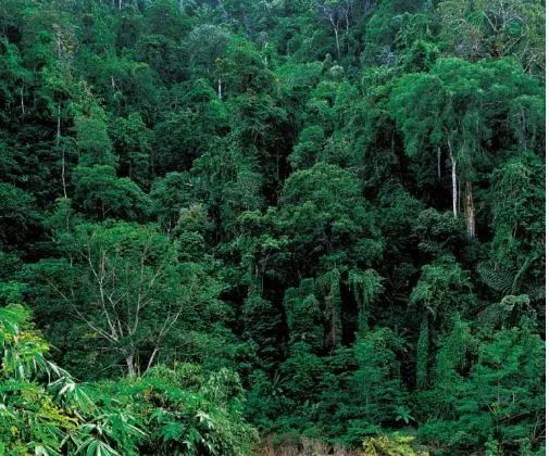 中国宝石排名,中国宝石宝藏大全