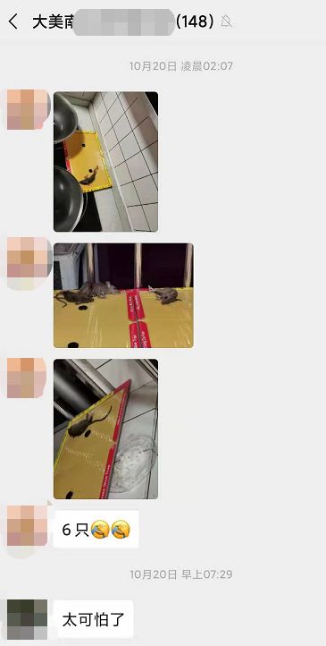 深圳罗湖灭鼠,除虫灭鼠深圳