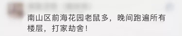 深圳罗湖灭鼠,除虫灭鼠深圳