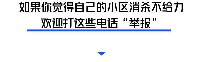 深圳罗湖灭鼠,除虫灭鼠深圳