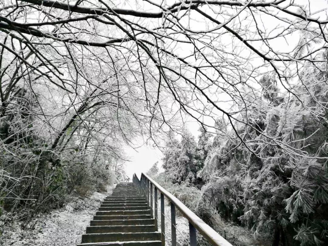 遵义冬天周边游二日游推荐,遵义冬游