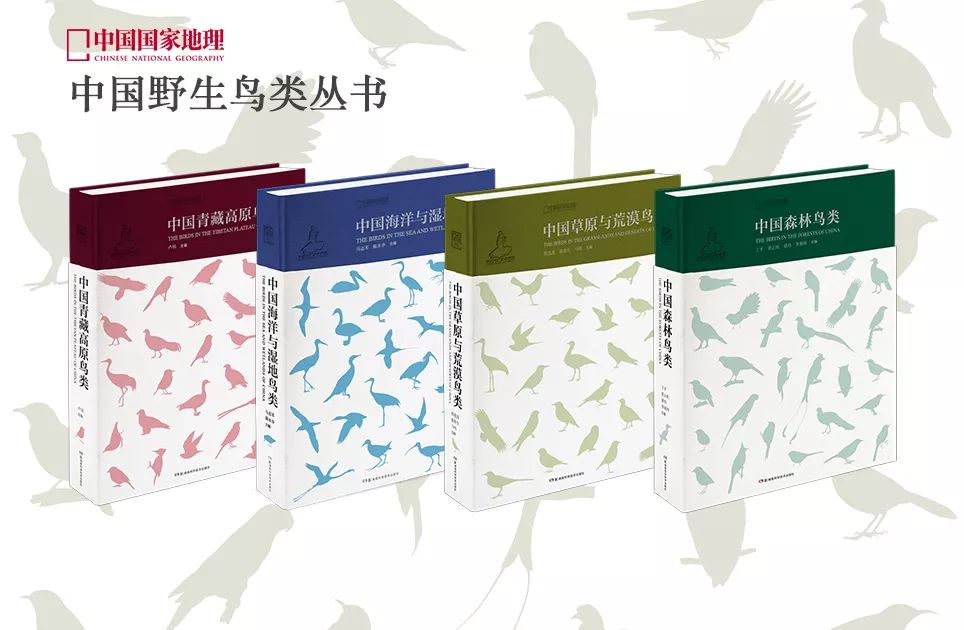 这也许是最好买的一场劲草嘉年华……