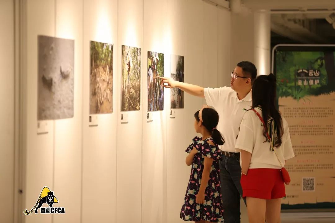 这也许是最好买的一场劲草嘉年华……