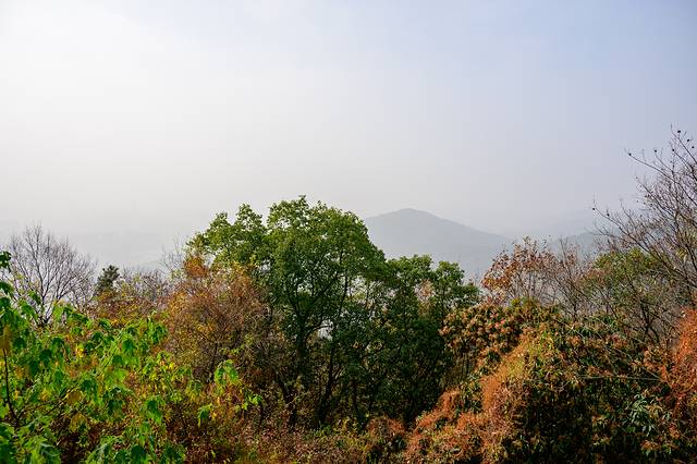 无锡旅行漫步江南水乡惠山古镇，寻找帝王的足迹