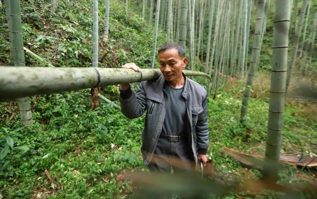 家庭工艺品小作坊致富项目,家庭小作坊致富项目食品