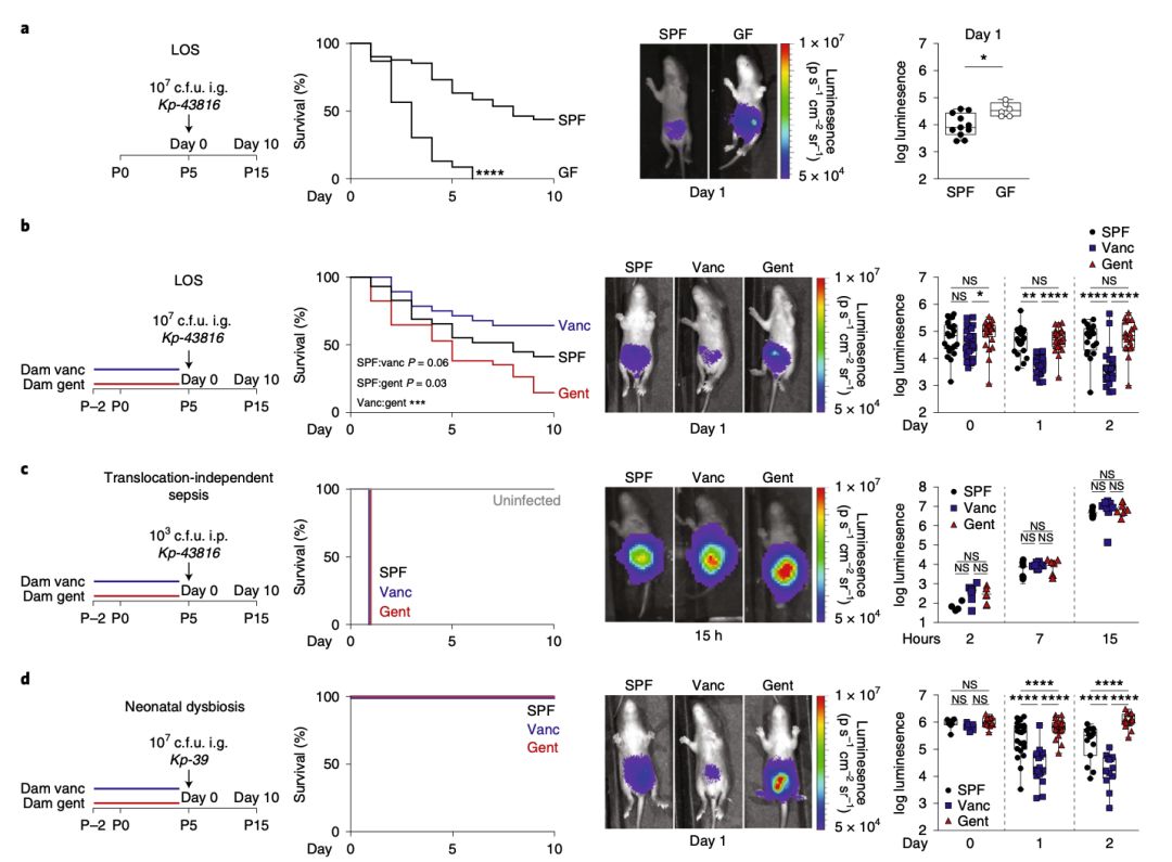 nature子刊基因组测序,nature子刊科学报告