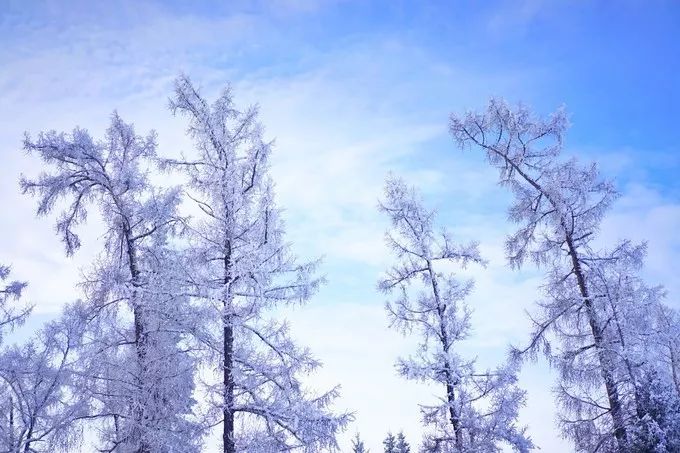 五月一日游布尔津,7月新疆布尔津旅游攻略