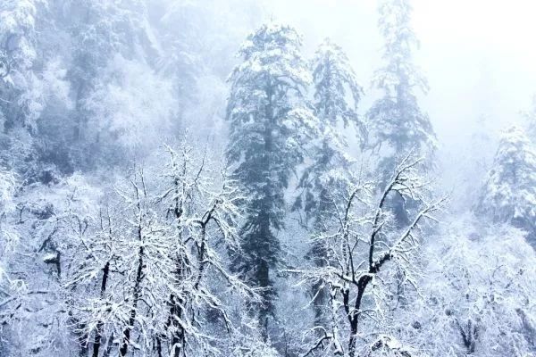 五月一日游布尔津,7月新疆布尔津旅游攻略