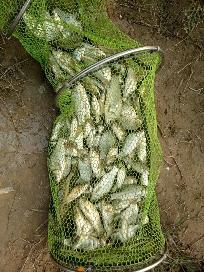 野钓装备大全,野钓装备有哪些