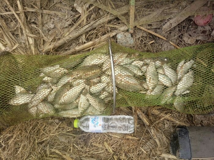 野钓装备大全,野钓装备有哪些