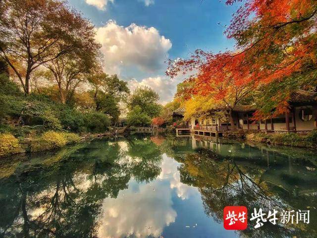 无锡惠山赏杏,红橙黄绿青蓝紫打卡