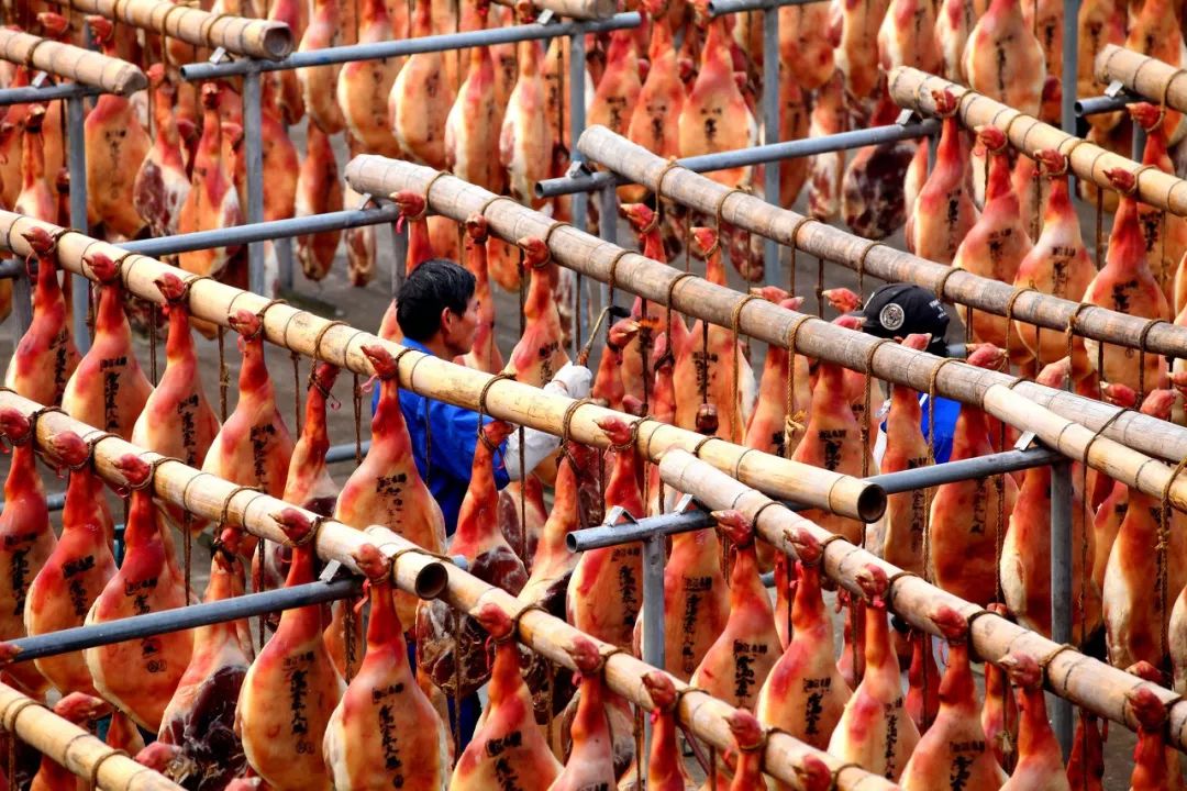 世界公认最完美的腿,世界上最惊艳的短腿