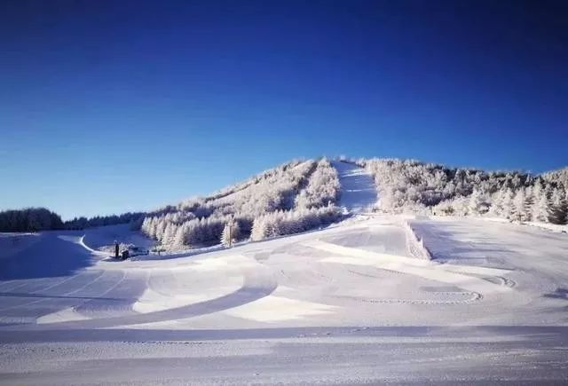湖北最近的滑雪场,湖北哪的滑雪场有跳台