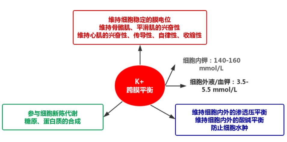 瑞金医院金玮医生好吗,金玮教授心衰
