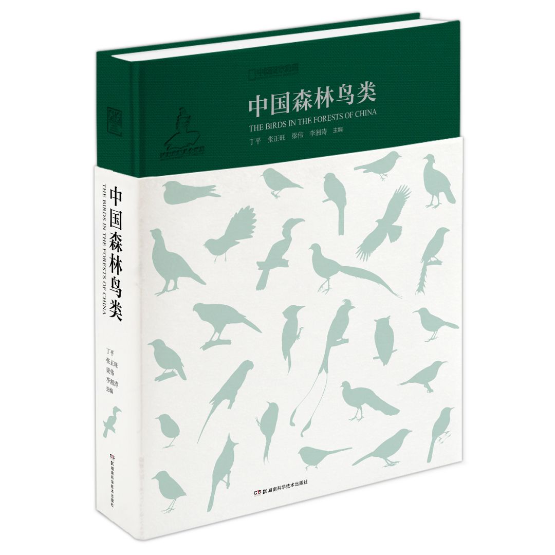 朋友，我看你与鸟类学有缘