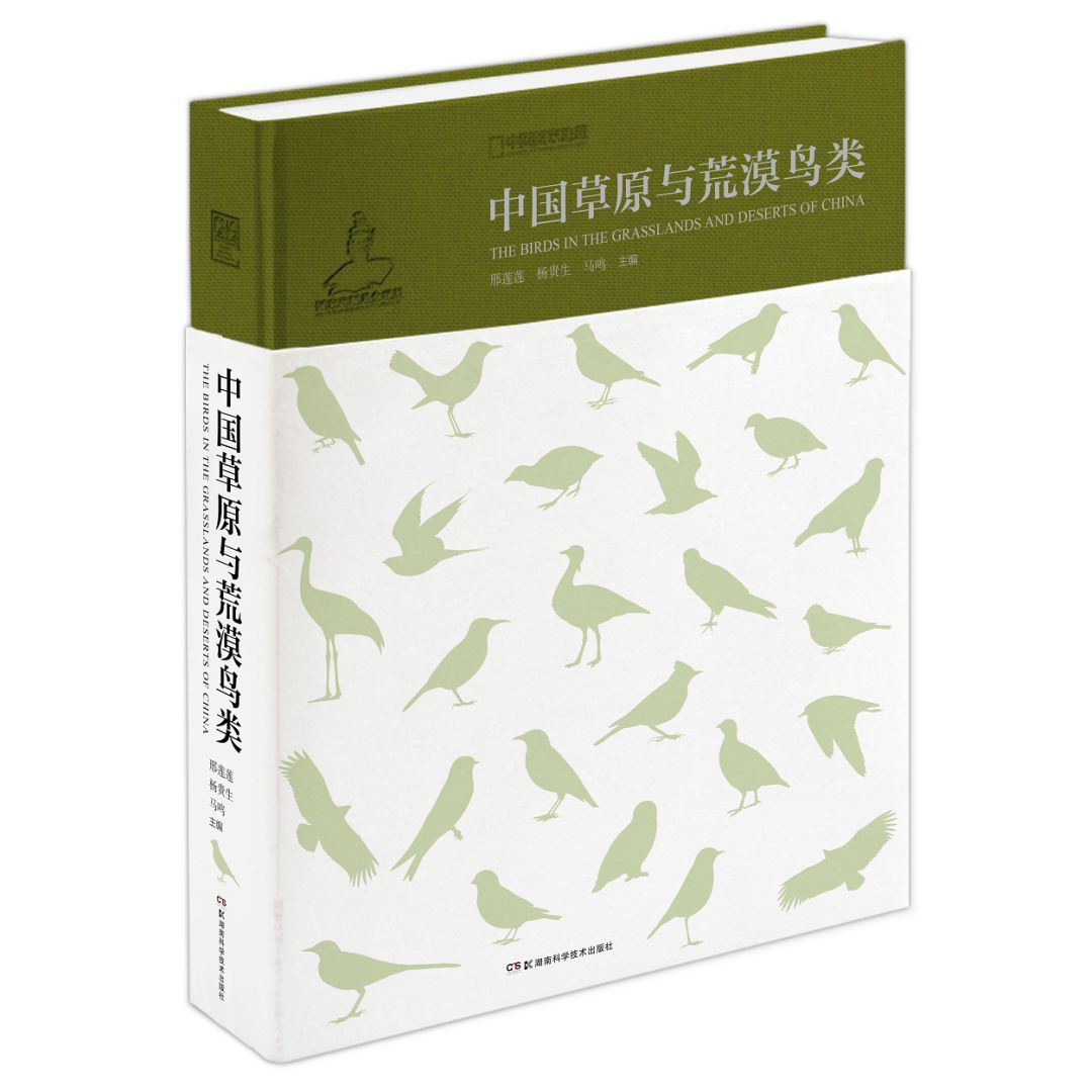 朋友，我看你与鸟类学有缘