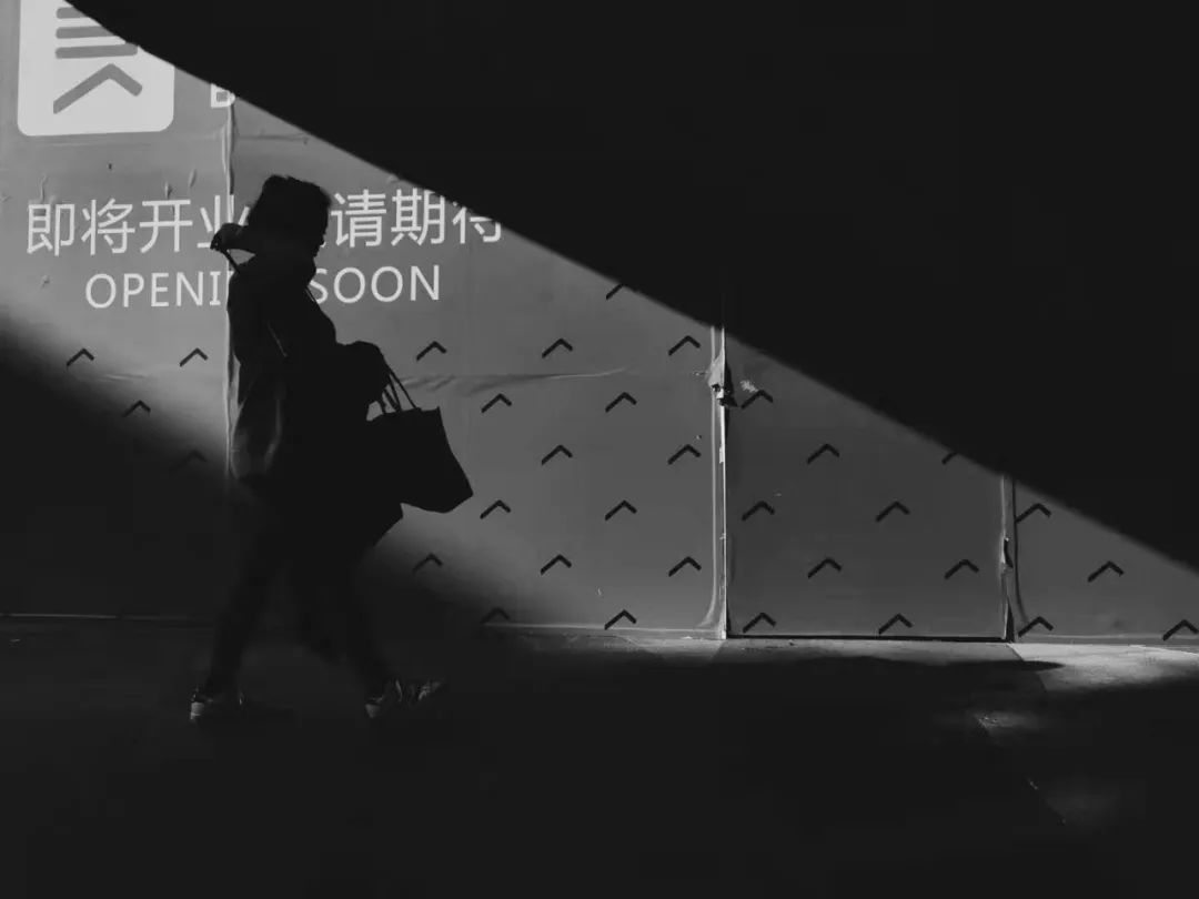 卷毛佟零基础手机摄影课百度网盘,卷毛佟手机摄影大赛作品