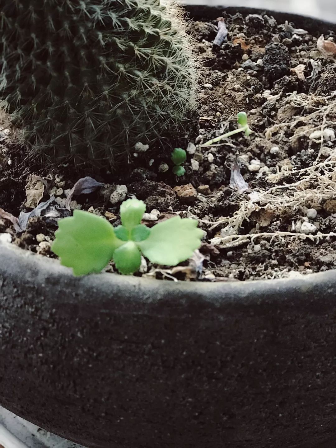 摄影的黄金时段和蓝调时段app,最适合拍日出与日落的相机app