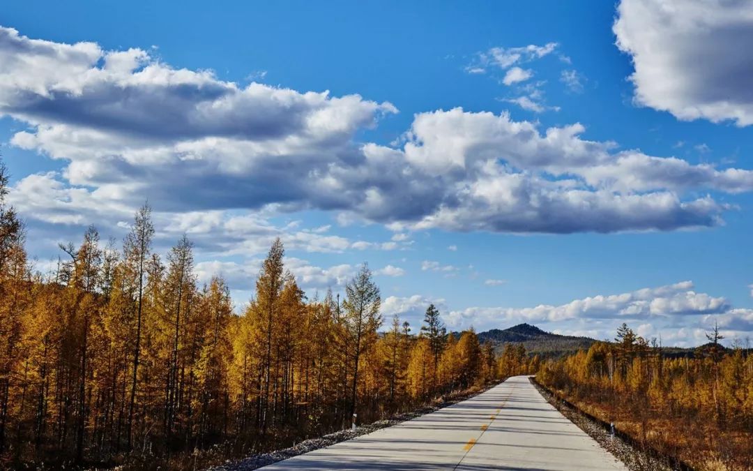 经典央视歌曲,央视经典背景音乐