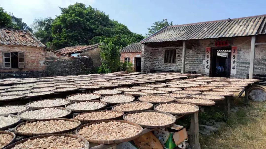 推荐|一根百年沧桑柱，一份民间沙谷米……等你到海丝首港景区展示中心探秘