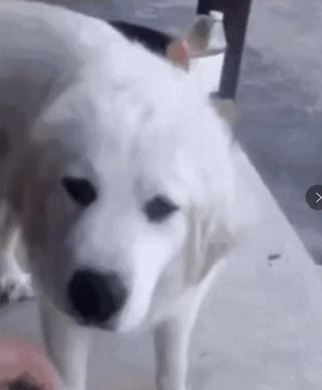 如何辨别网购化妆品的真假,怎么扫码辨别真假化妆品