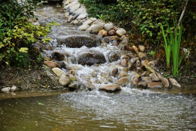 上海市崇明南来北往精品民宿,崇明恬园居民宿和风小木屋团购