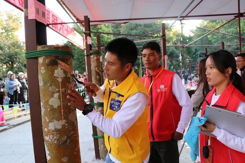 云南省焊接技能大赛,云南省割胶技术培训视频
