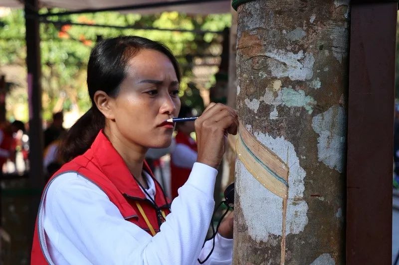 云南省焊接技能大赛,云南省割胶技术培训视频