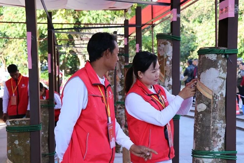 云南省焊接技能大赛,云南省割胶技术培训视频