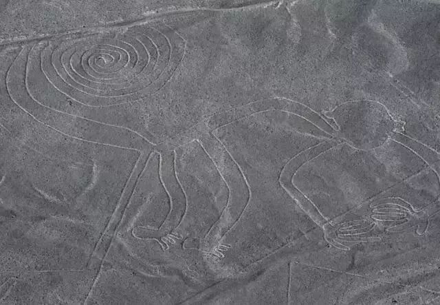 秋冬保暖潮牌穿搭,潮牌冬季港风女装炸街高级感外套