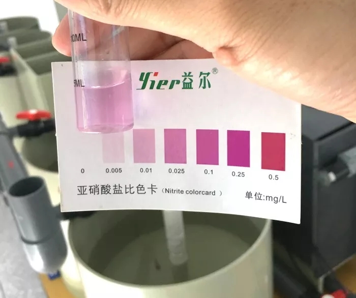 循环水养殖怎么快速建立硝化细菌,最强循环水养殖物理过滤方案