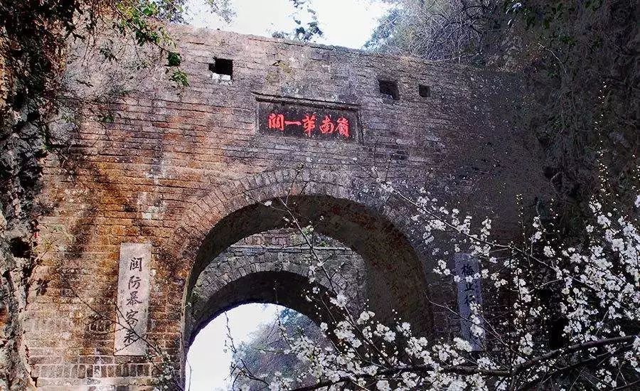 南国的两面：江南vs岭南