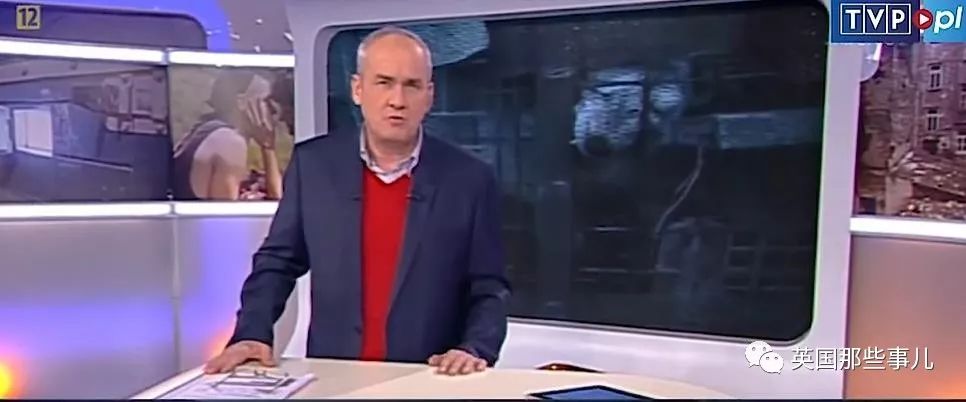 一只差点被做成皮草大衣的北极狐，如今白白胖胖过上了圣诞节