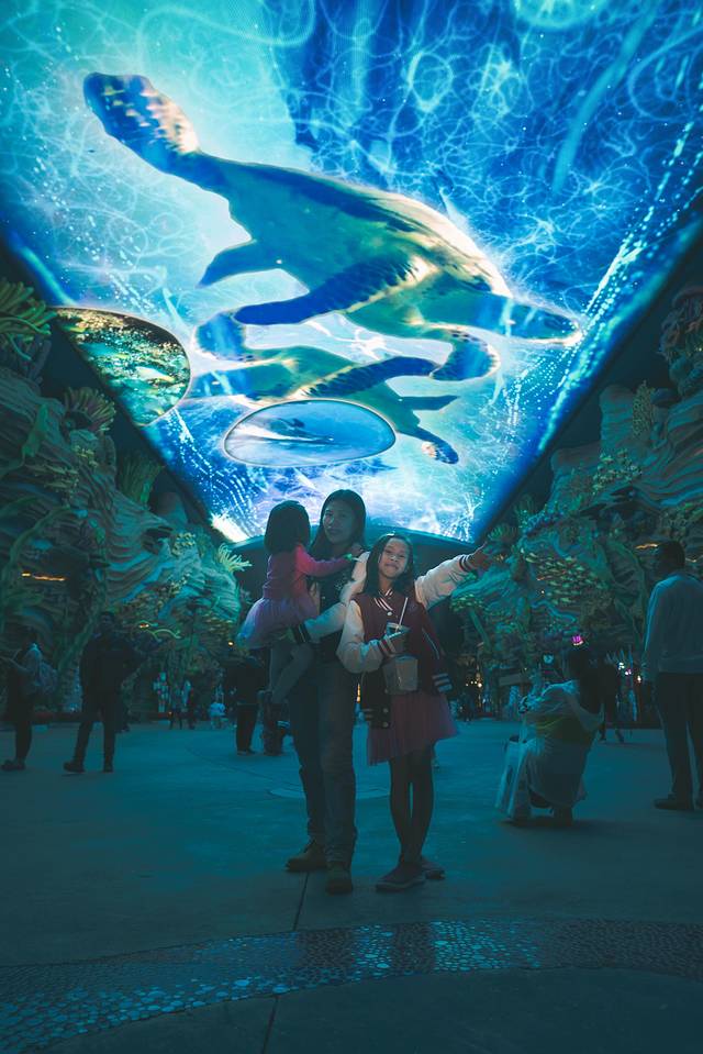 长隆海洋王国海牛馆探秘,珠海长隆海洋王国海底夜宿