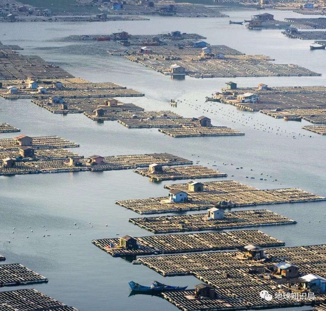 沿海人民是如何喂饱中国的？