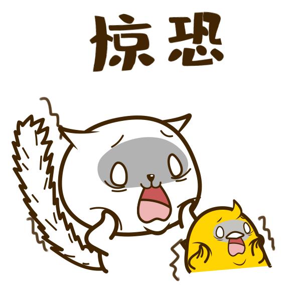 消费贷骗贷案例,消费贷vs装修贷