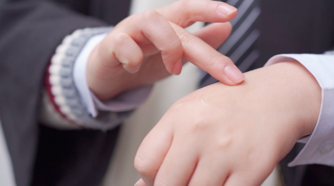 你有一份旅行指南,东京十五日游攻略