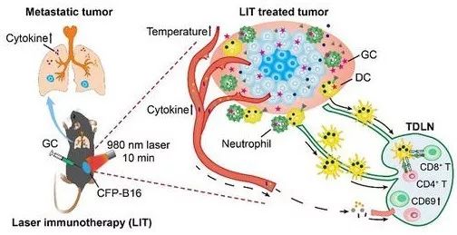 theranostics讲解,theranostics是一区吗