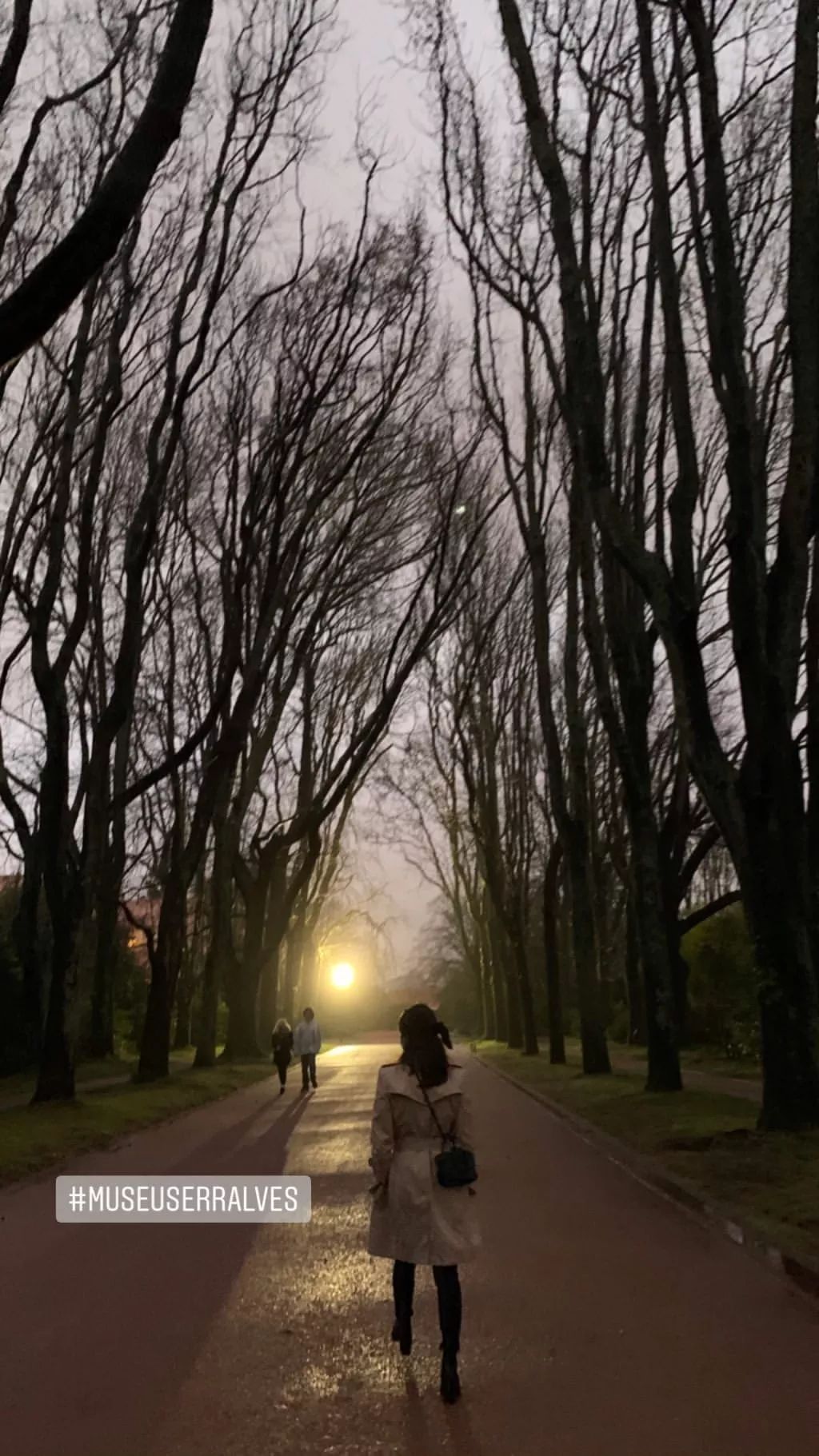 宋慧乔离婚后的态势,宋慧乔离婚后旅游