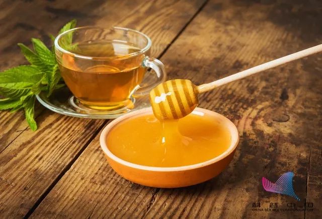 关注鱼的这些部位不能吃,鱼身上有毒的三个部位