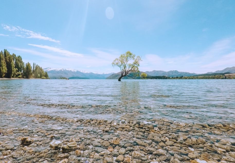 湿巾不能乱用，新西兰人这么操作...