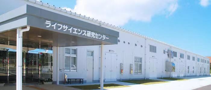 超强饱腹感饼干推荐,能量低饱腹感强的饼干有哪些