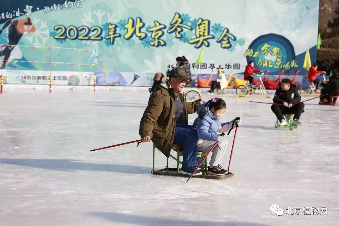 最新颐和园冰场,2024年颐和园冰场开了吗