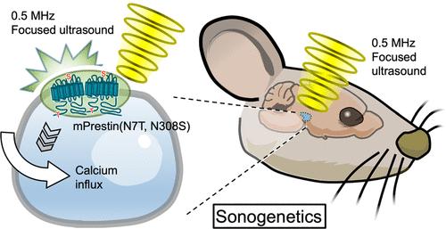 BioDaily丨Biomaterials，NanoLett，Theranostics成果速递20200103