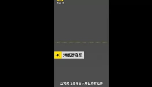 海底捞拒绝导盲犬进入,合肥海底捞导盲犬事件