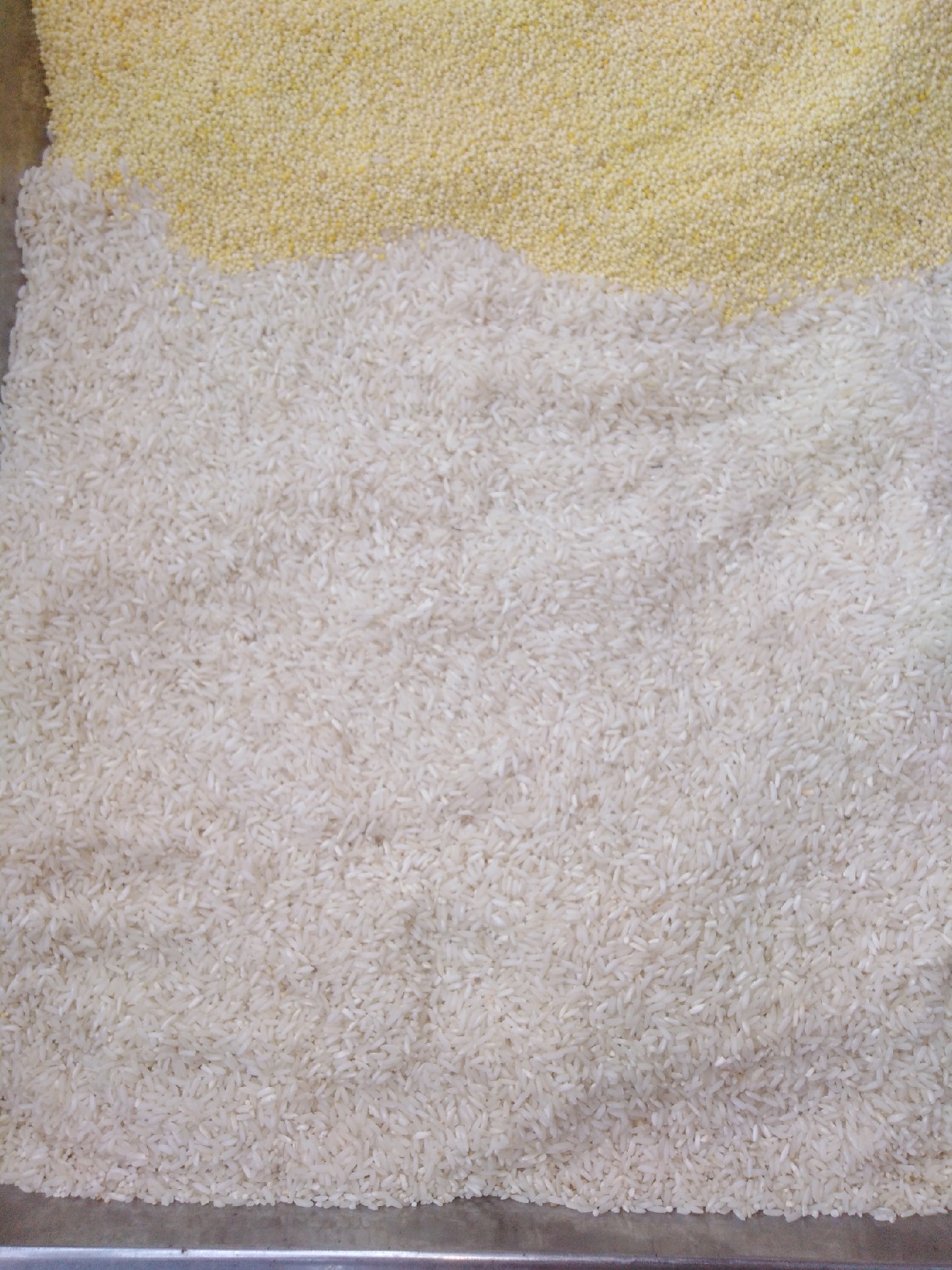 酒米鲫鱼窝料的自制配方视频,鲫鱼酒米窝料自制配方