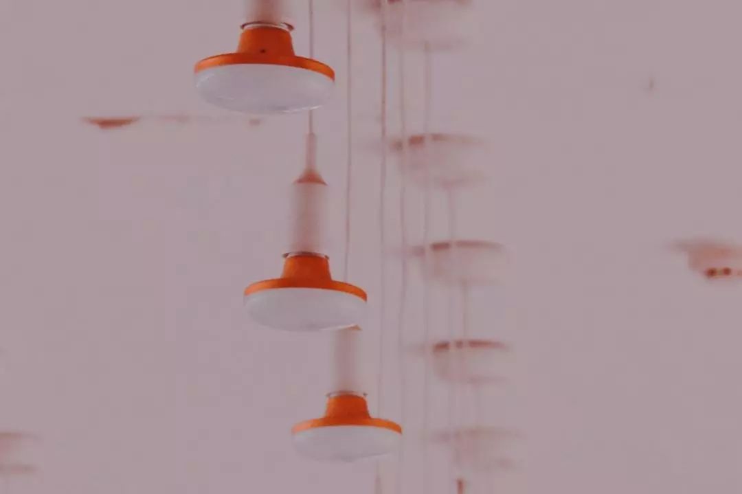 这还是我认识的相机吗,这还是我认识的二哈吗